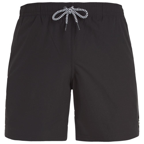 Protest Ανδρικό μαγιό Prtyessine Beachshorts